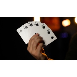 4 FLUSH by Nick Trost (Blue Bicycle Backs)