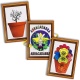 Flower Miracle