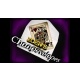 Changevelopes by Zoens video DOWNLOAD