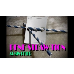 Pene-STRAW-tion by Armin Peter video DOWNLOAD