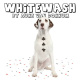 Whitewash, by Auke van Dokkum