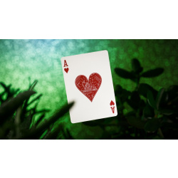 Succulents Playing Cards (Mängelexemplar)