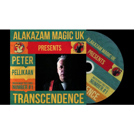Transcendence by Peter Pellikaan