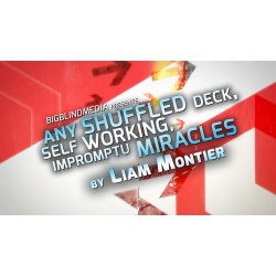 Any Shuffled Deck - Self-Working Impromptu Miracles by...