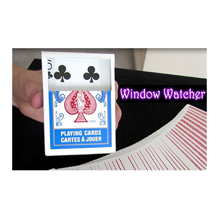 Window Watcher by Aaron Plener - Video DOWNLOAD