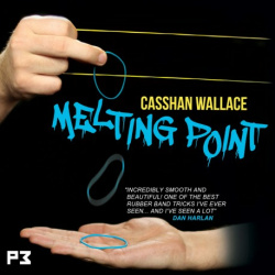 Melting Point by Casshan Wallace