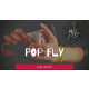 The Vault - Pop Fly by Bizau Cristian video DOWNLOAD