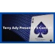 FS Control by Terry Ady video DOWNLOAD
