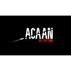 ACAAN BY CUTTING by Josep Vidal video DOWNLOAD