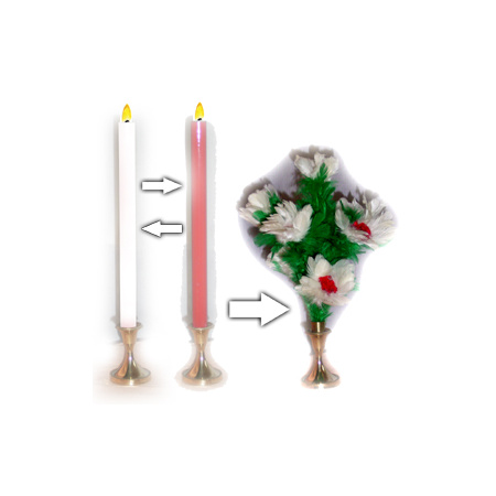 Color changing Candle to Flower