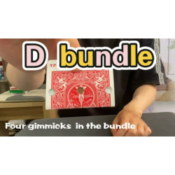 D Bundle by Dingding video DOWNLOAD