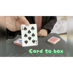 Card to Box by Dingding video DOWNLOAD