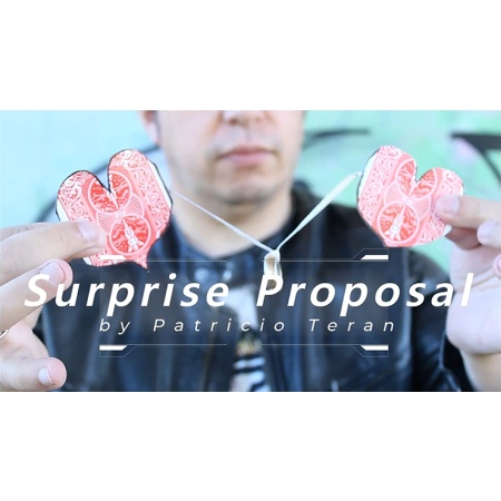 Surprise Proposal by Patricio Teran video DOWNLOAD
