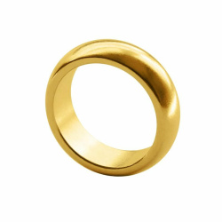 Magnetic Ring, PK Ring Gold (22mm)